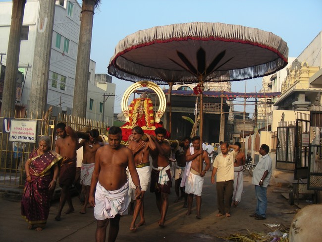 Thiruvallur veeraraghava perumal kovil Rathasapthami SUrya Prabhai 2014 -15