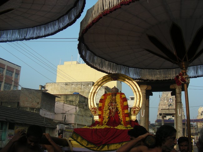 Thiruvallur veeraraghava perumal kovil Rathasapthami SUrya Prabhai 2014 -18