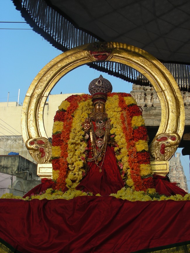 Thiruvallur veeraraghava perumal kovil Rathasapthami SUrya Prabhai 2014 -19