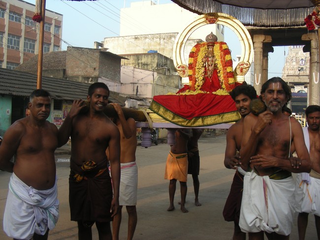Thiruvallur veeraraghava perumal kovil Rathasapthami SUrya Prabhai 2014 -21