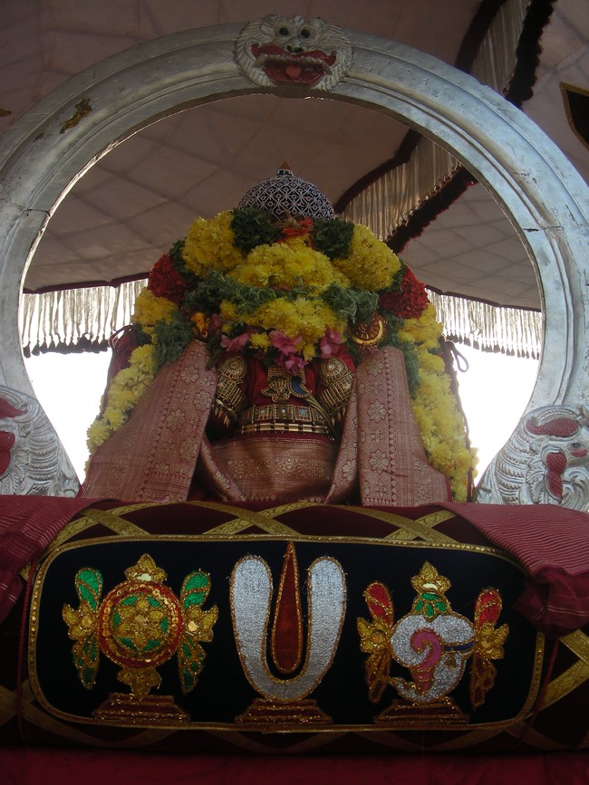 Thiruvallur veeraraghava perumal kovil Rathasapthami SUrya Prabhai 2014 -23