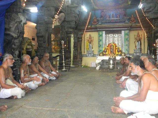 Thiruvallur_Brahmotsavam_20