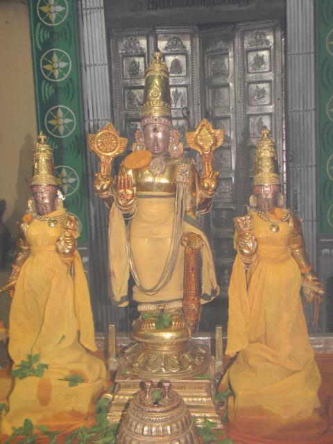 Thiruvallur_Brahmotsavam_27