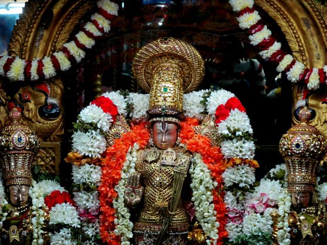 Thiruvallur_Brahmotsavam_37