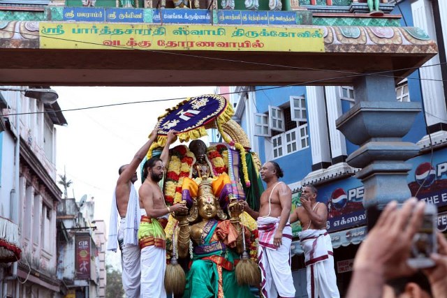 Thiruvellikeni Masi Maga Theerthavari Purappadu 2014 -06