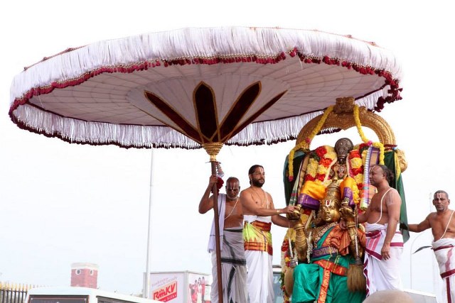 Thiruvellikeni Masi Maga Theerthavari Purappadu 2014 -16