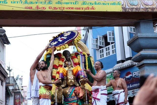 Thiruvellikeni Masi Maga Theerthavari Purappadu 2014 -17