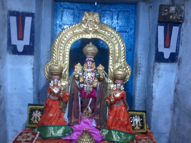 Thiruvelukkai Dhavana Utsavam day 2  2014 -02