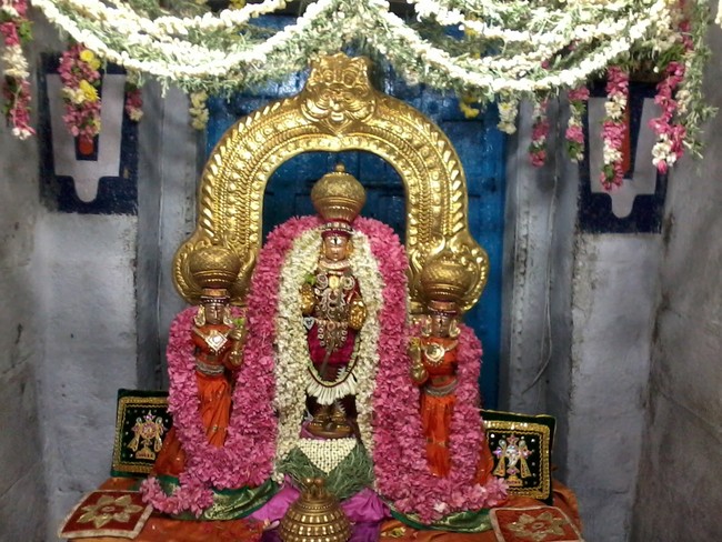 Thiruvelukkai Dhavana Utsavam day 2  2014 -05