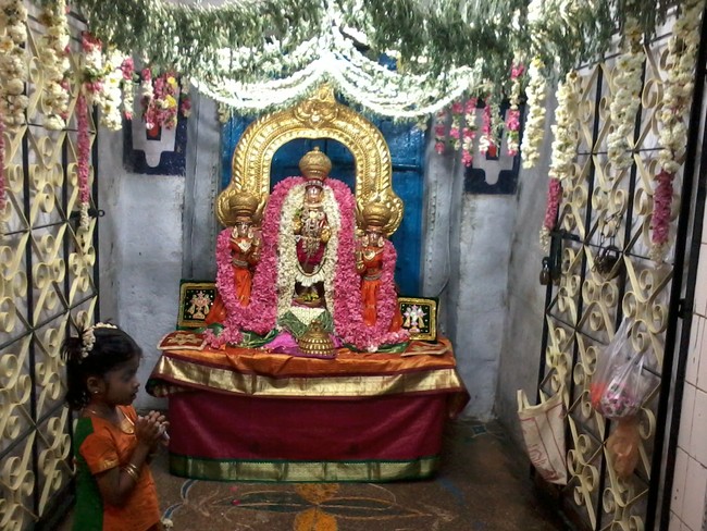 Thiruvelukkai Dhavana Utsavam day 2  2014 -07