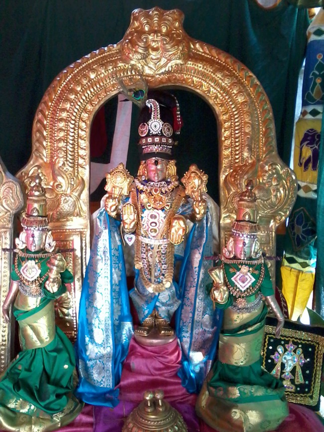 Thiruvelukkai Dhvanotsavam day 3  2014--00
