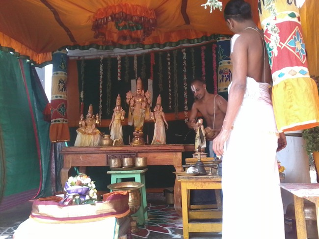 Thiruvelukkai Dhvanotsavam day 3  2014--0003