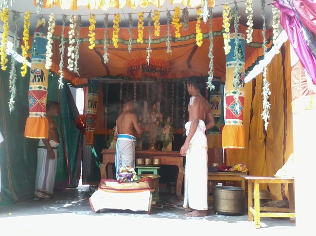 Thiruvelukkai Dhvanotsavam day 3  2014--0004