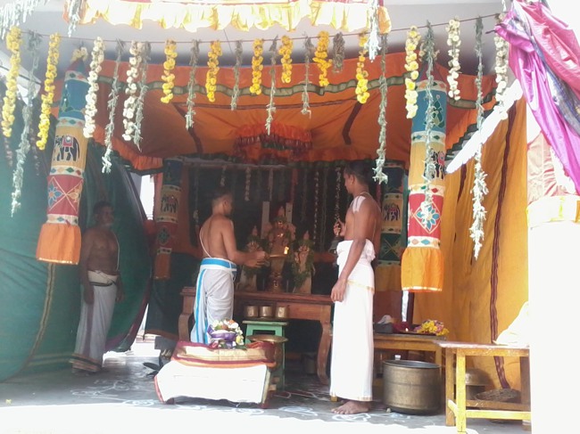 Thiruvelukkai Dhvanotsavam day 3  2014--0005