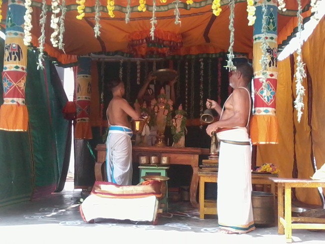 Thiruvelukkai Dhvanotsavam day 3  2014--0007