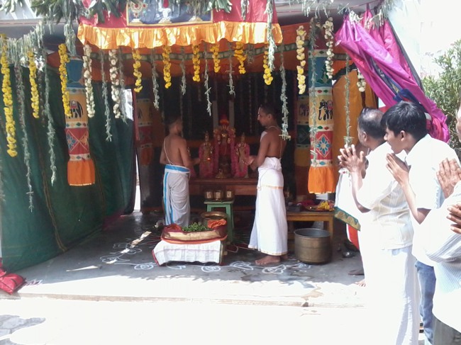 Thiruvelukkai Dhvanotsavam day 3  2014--0011