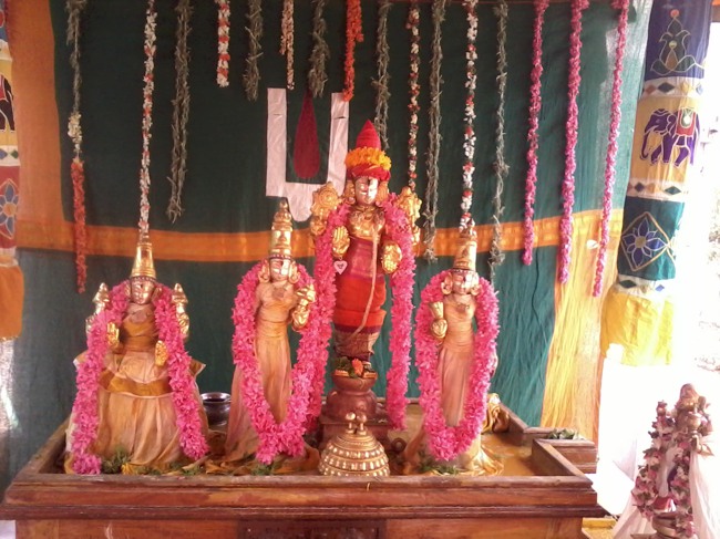 Thiruvelukkai Dhvanotsavam day 3  2014--0013