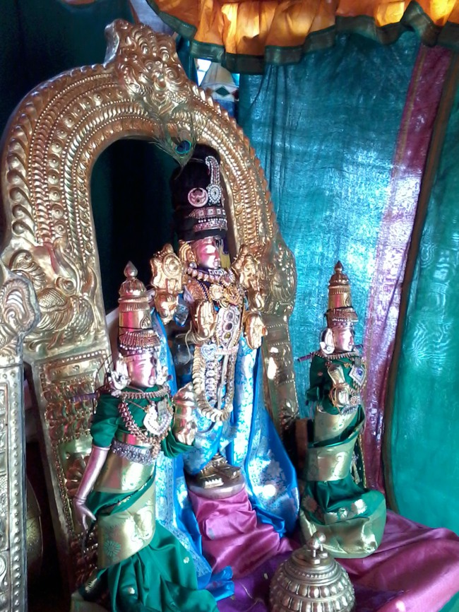 Thiruvelukkai Dhvanotsavam day 3  2014--01