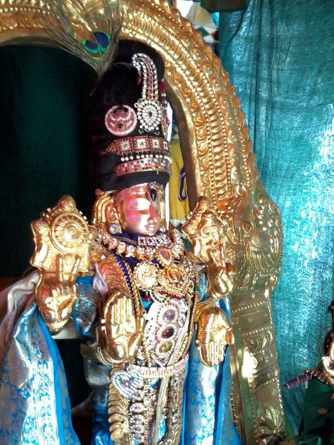 Thiruvelukkai Dhvanotsavam day 3  2014--03