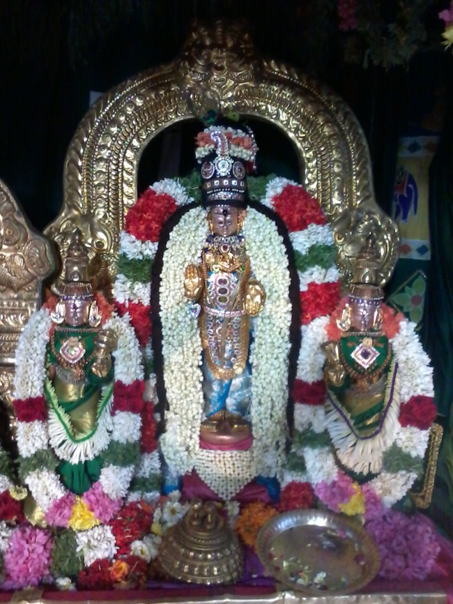 Thiruvelukkai Dhvanotsavam day 3  2014--08