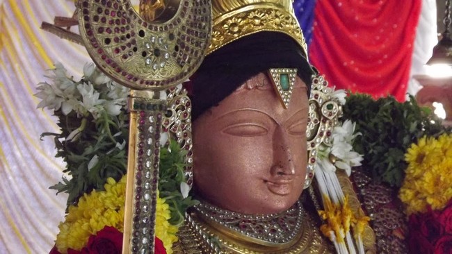 Vadvuvur Kothandaramaswamy Kovil Samvathsarotsavam 2014 -10