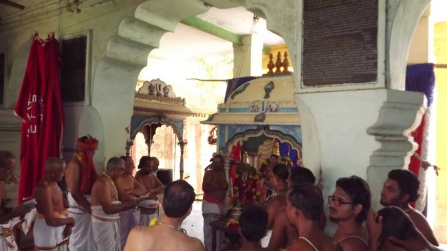 Vadvuvur Kothandaramaswamy Kovil Samvathsarotsavam 2014 -22