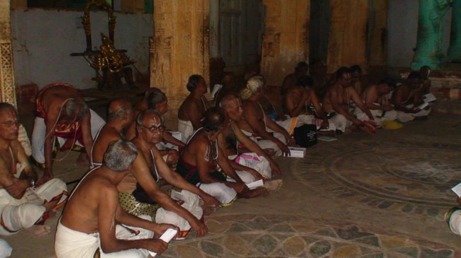 Vanamalai Thai Ammavasai Ennaikaapu Utsavam 2014--14