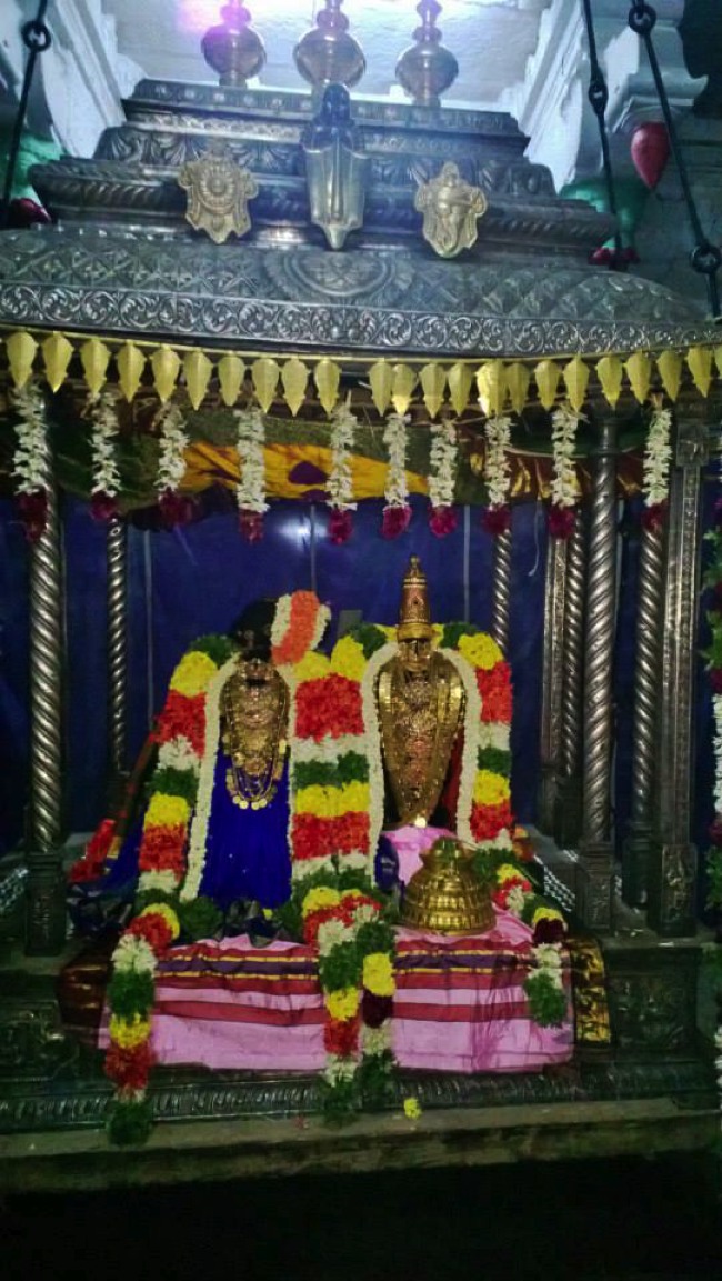 Vanamamalai Gopura Garudan Thirumanjanam 2014--01
