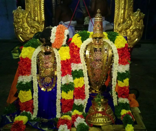 Vanamamalai Gopura Garudan Thirumanjanam 2014--02