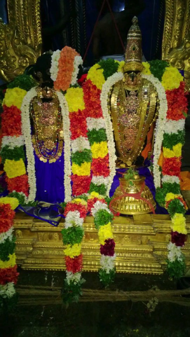 Vanamamalai Gopura Garudan Thirumanjanam 2014--03