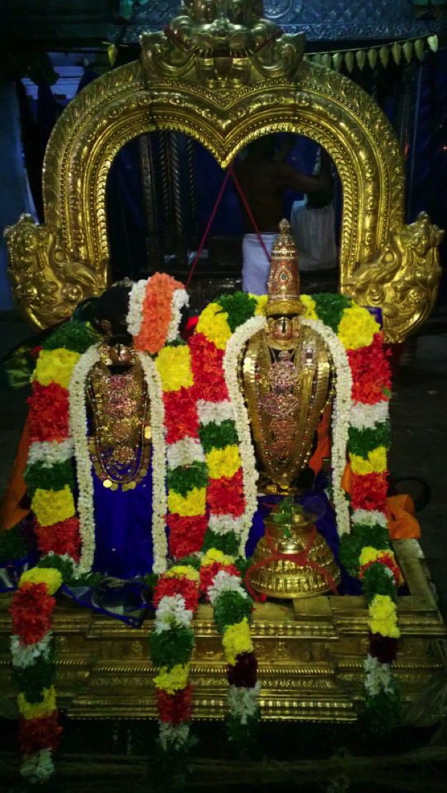 Vanamamalai Gopura Garudan Thirumanjanam 2014--04
