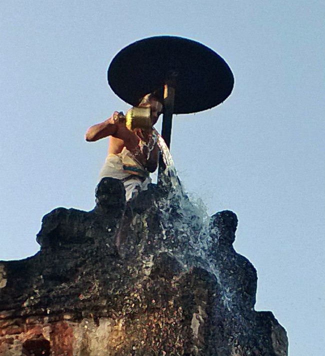 Vanamamalai Gopura Garudan Thirumanjanam 2014--06
