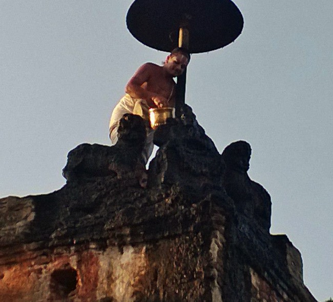 Vanamamalai Gopura Garudan Thirumanjanam 2014--14