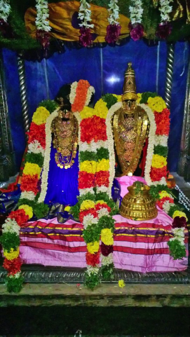 Vanamamalai Gopura Garudan Thirumanjanam 2014--15