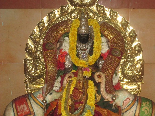 Vilakudi Kasthuri Rangan Garuda sevai 1  2014 -05
