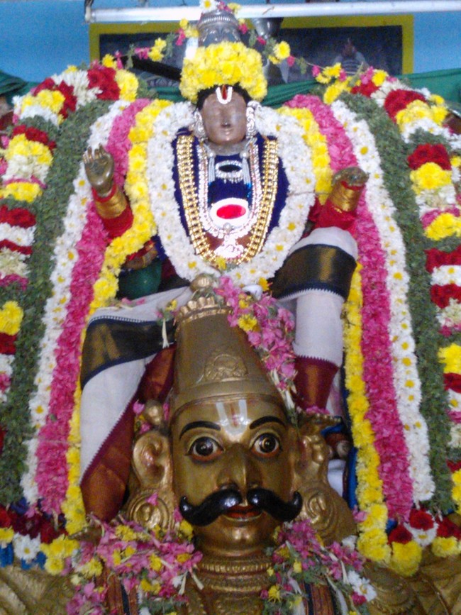 Vilakudi Kasthuri Rangan Garuda sevai 1  2014 -22