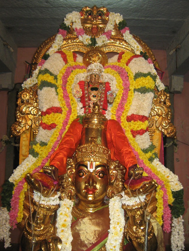 West Mambalam Kothandaramar temple masi magam 2014--01