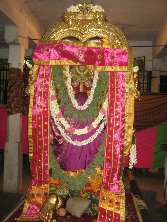 West Mambalam Kothandaramar temple masi magam 2014--04