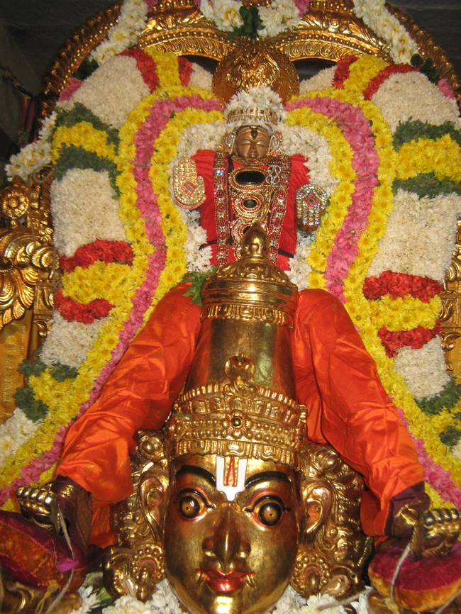 West Mambalam Kothandaramar temple masi magam 2014--06