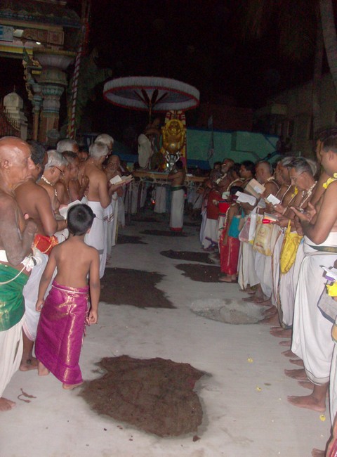 nanganallur sri lakshmi narasimhar brahmothsavam day 261  simha vahanam