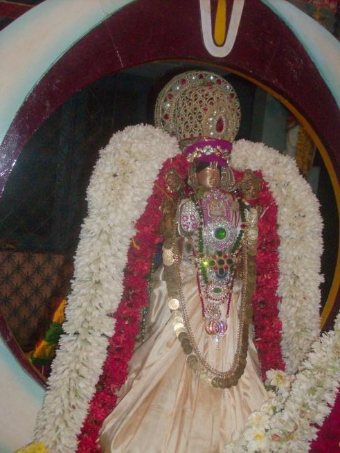 rathasapthami in  nanganallur lakshmi narasimhar navaneetha krishnan temple11111111