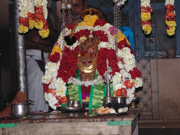 srimath azhagiyasingar at dolothsavam in lakshmi narasimhar temple04040404