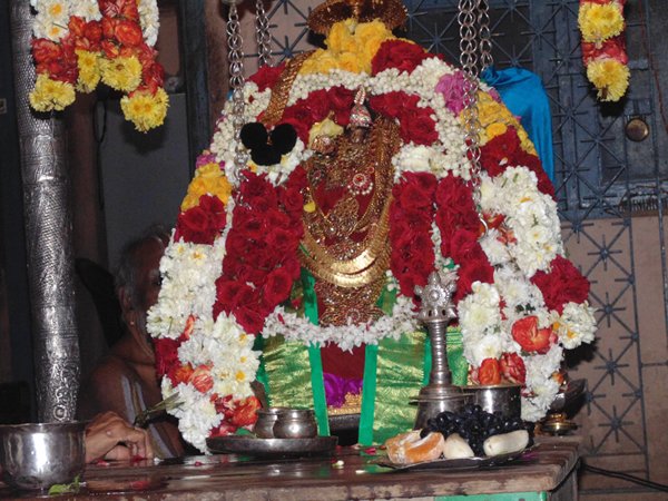 srimath azhagiyasingar at dolothsavam in lakshmi narasimhar temple05050505