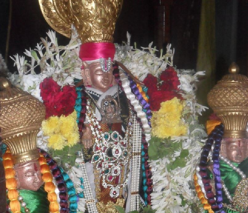 Aakkoor-Laskhmi-Narayana-Perumal-Pavithrotsavam-2013-10