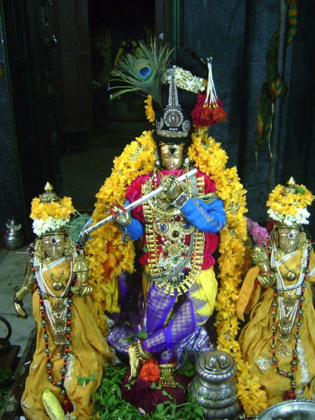 Aminjikarai Dhavanotsavam day 3 2014--02