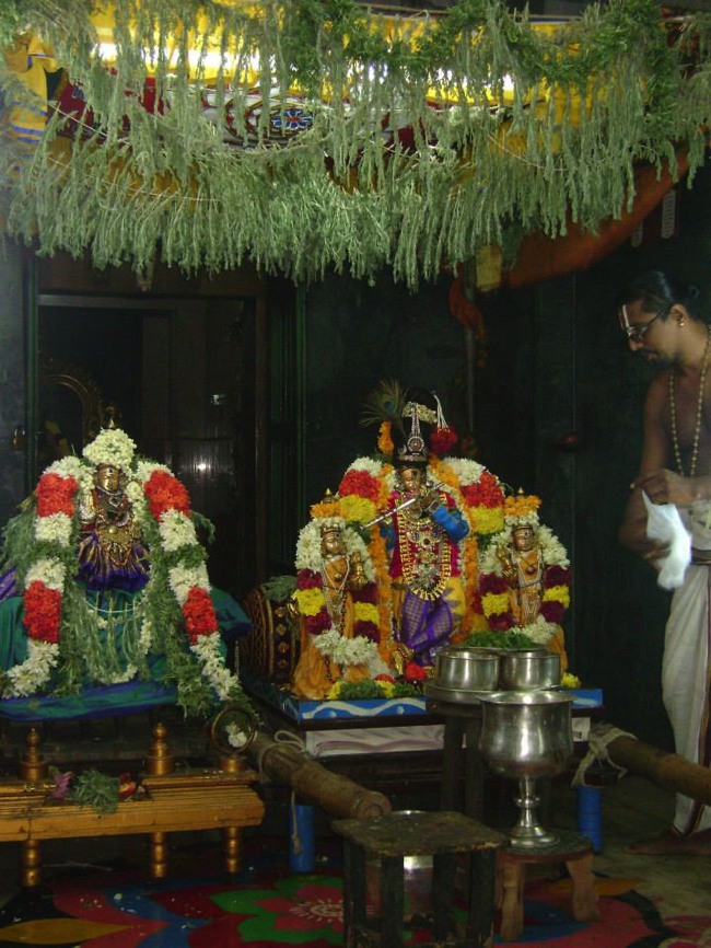 Aminjikarai Dhavanotsavam day 3 2014--11