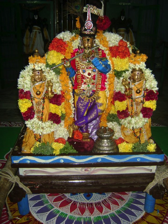 Aminjikarai Dhavanotsavam day 3 2014--17