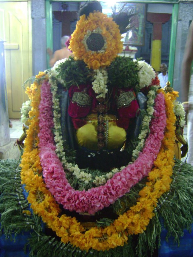 Aminjikarai Dhavanotsavam day 3 2014--19