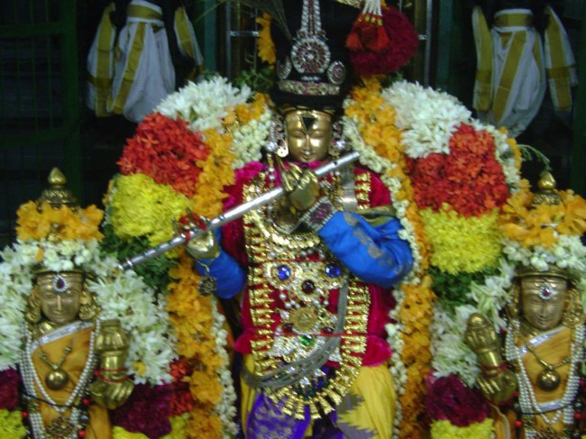 Aminjikarai Dhavanotsavam day 3 2014--20