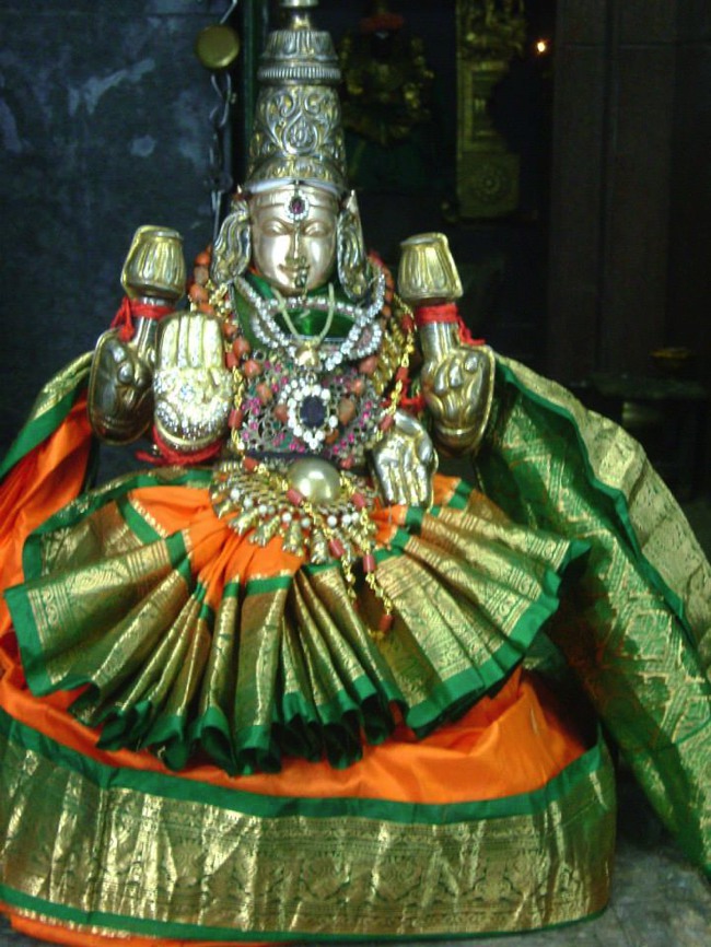 Aminjikarai Varadaraja Perumal Temple Dhavana Utsavam day 2 2014--01